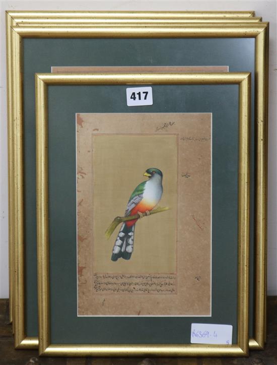 Indian School, five gouache, studies of birds largest 30 x 22cm